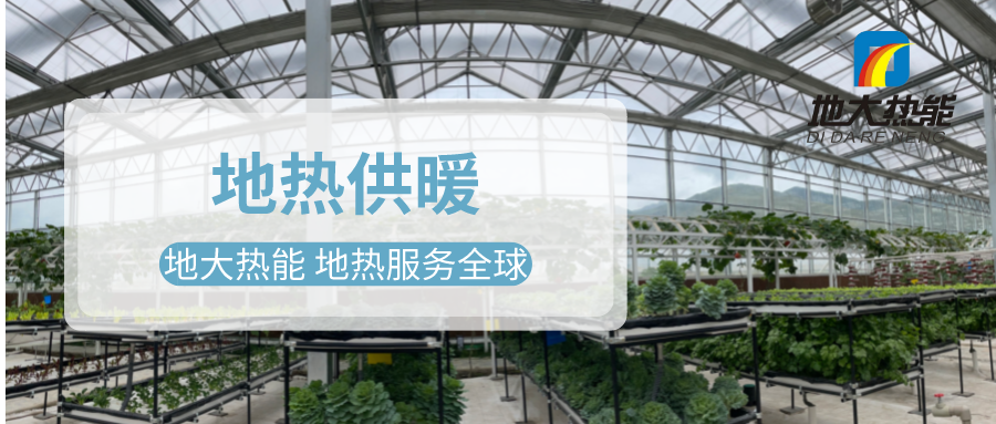 發揮地熱資源優勢，地熱農業實現花卉產業特色發展 | 地大熱能 地熱服務全球